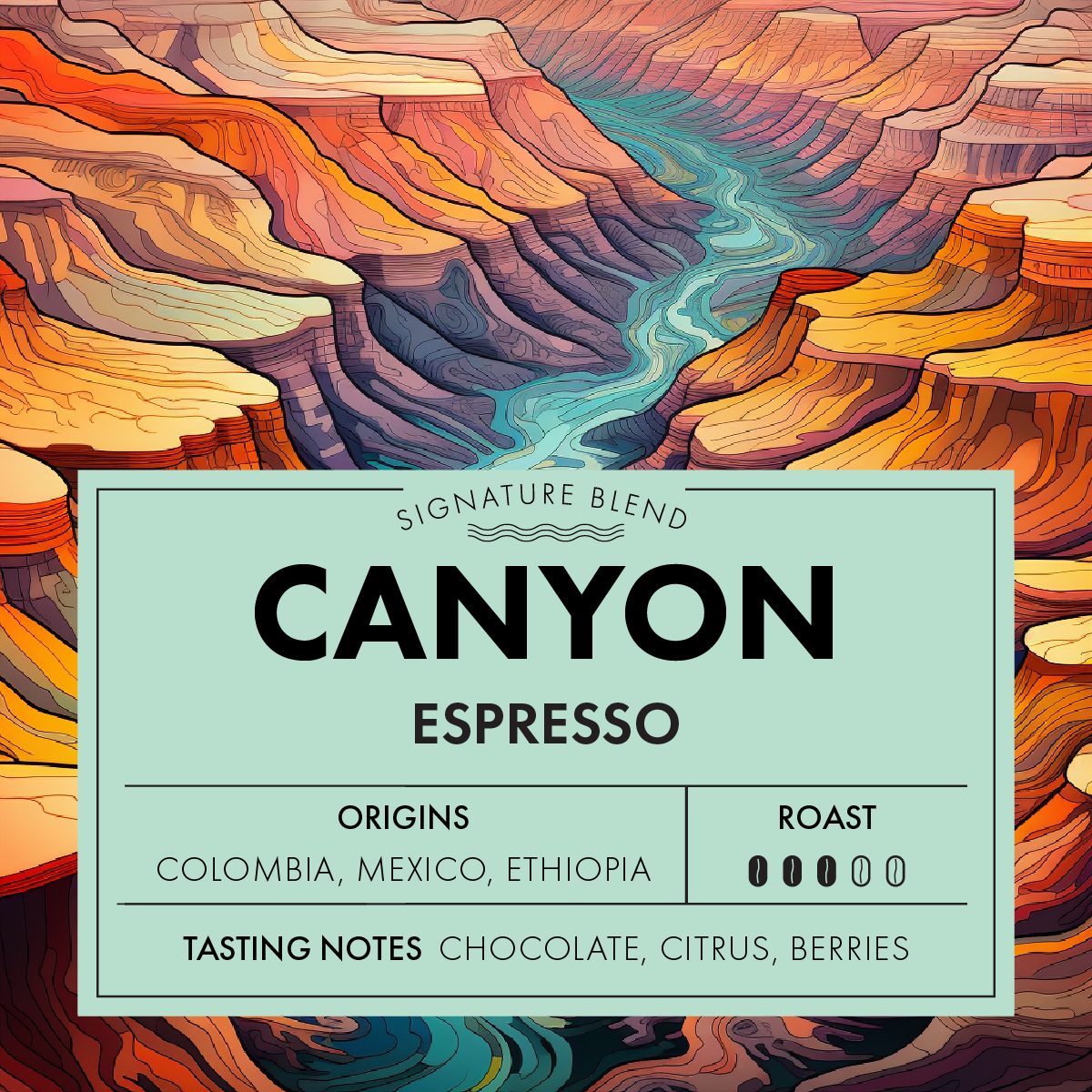 Airbnb Coffee 6 Pack - Canyon Blend