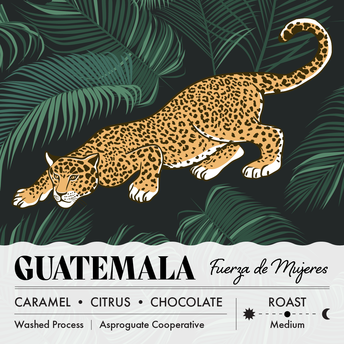 Guatemala Fuerza de Mujer Organic